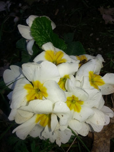 20140421_102641