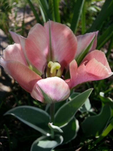 20140421_104010