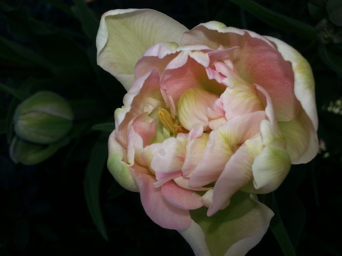 20140421_104918
