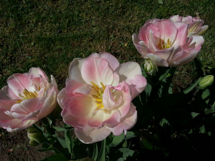 20140421_104928