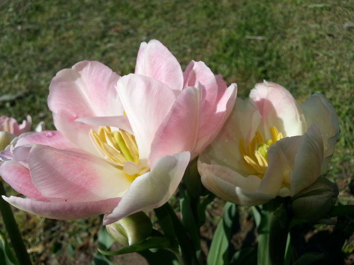 20140421_104937