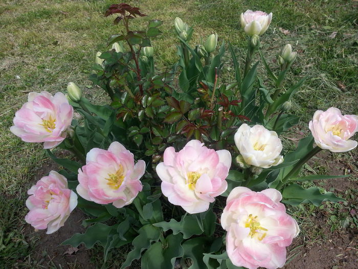 20140421_121913