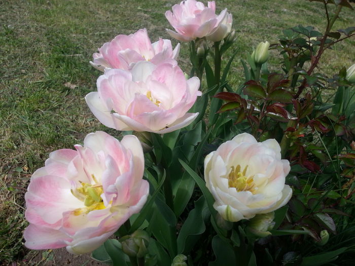 20140421_121925