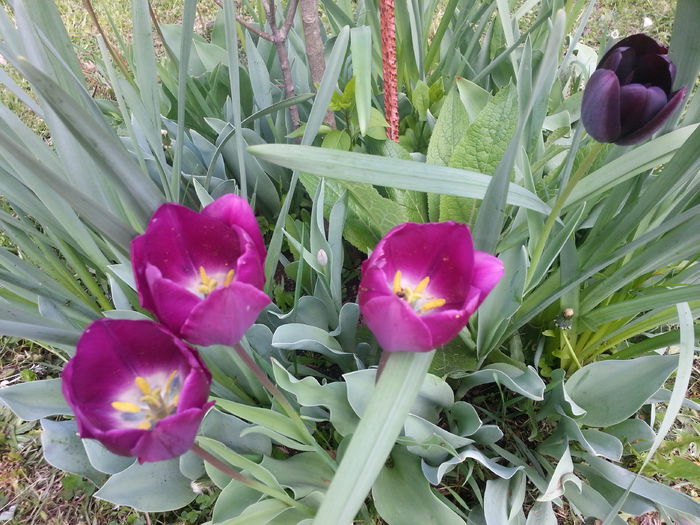 20140421_122054