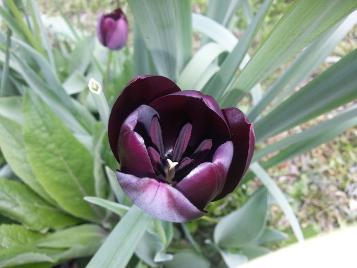 20140421_122104