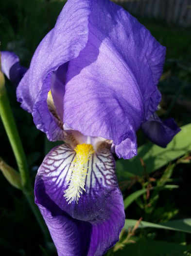 20140429_180930 - PRIMAVARA