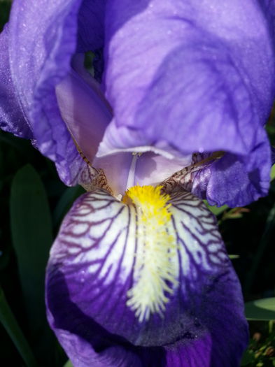 20140429_180950 - PRIMAVARA