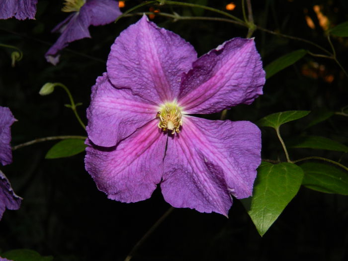 DSCN9282 - SEPTEMBRIE_2_2014