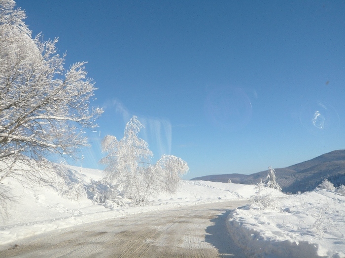 aghi-publicat - poze de iarna