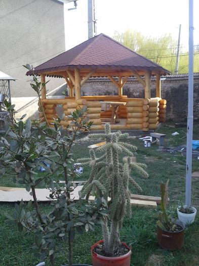 Filigorie hexagon; Filigorie lemn rotund lacuita acoperita cu sindrila bituminoasa
