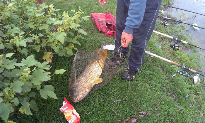 Crap 7 kg la Obarsia de Camp