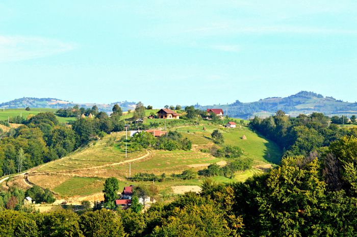 Poiana Marului din curtea lui Damian !