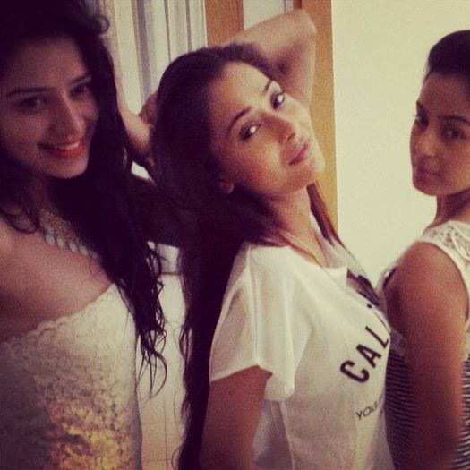  - Sukirti Kandpal 2013-2014