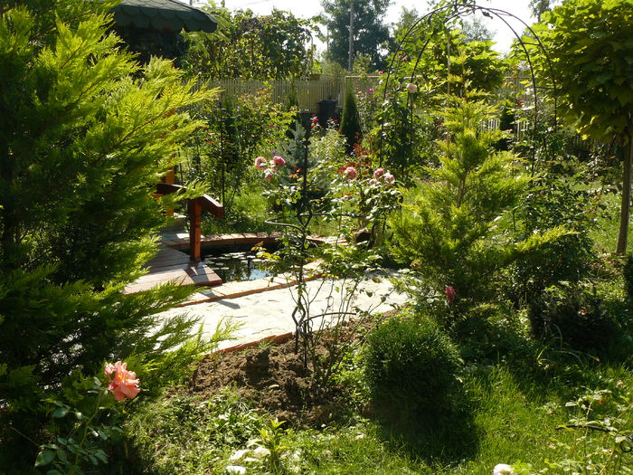 19 septembrie - Gradina rozelor_2014