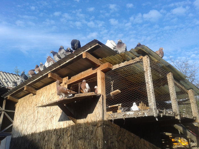 septembrie 2014; ...baie la soare.
