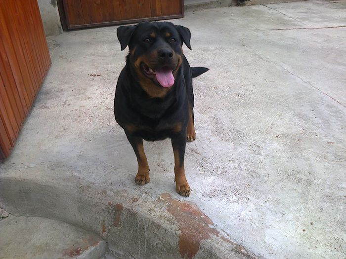 HERRA