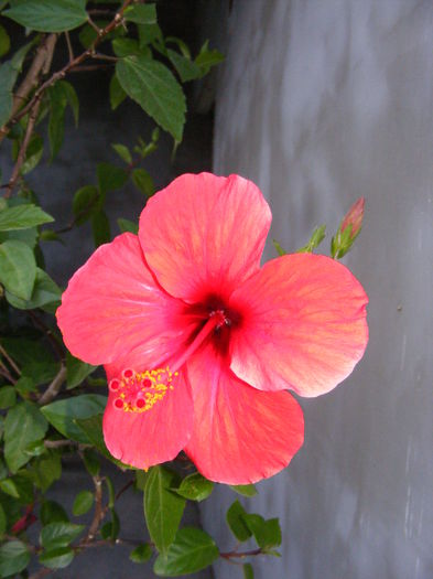 DSCF0085