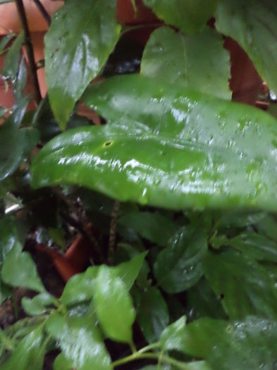 DSC03188 - sept 2014