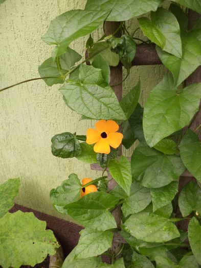 DSC03192 - sept 2014