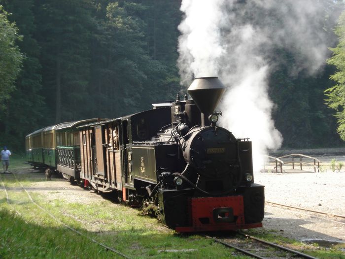 Gheizăş - 2-1  Regionalisme din MM