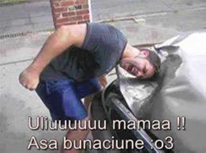 1526298_628909740501734_1735701060_n