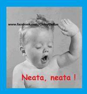 1959615_662395613819813_1958125691_n