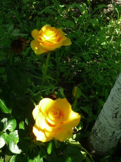 10352387_776505295703671_5228734226662568637_n 10352387_776505295703671_5228734226662568637_n