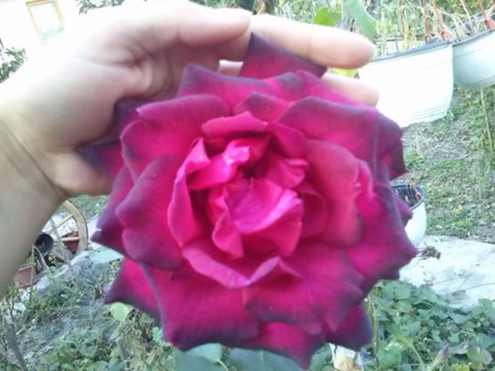 10425177_810847755602758_3104623333723679396_n 10425177_810847755602758_3104623333723679396_n