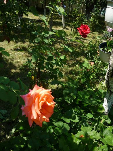 10488242_776505282370339_1187181162902987924_n 10488242_776505282370339_1187181162902987924_n