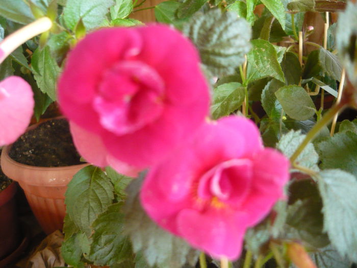 P1070620