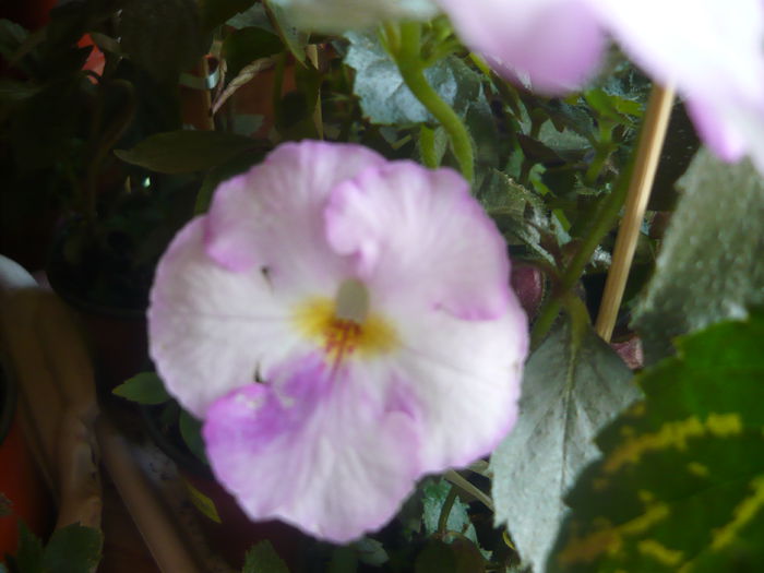P1070656