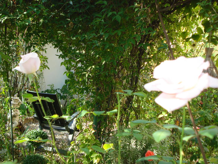 DSC04123 - Gradina in 2014