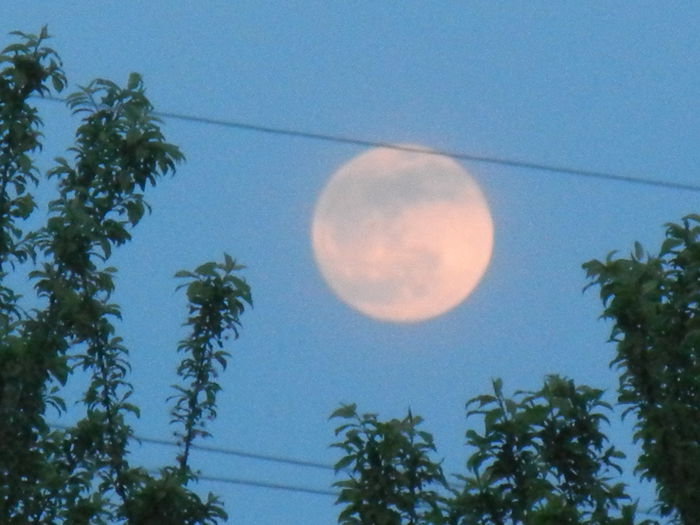 Beautiful Moon (2014, Apr.14, 7.07 PM) - MOON_Luna