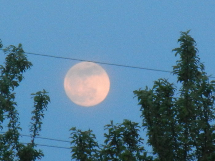 Beautiful Moon (2014, Apr.14, 7.07 PM)