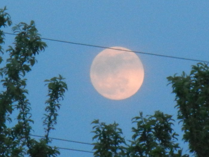 Beautiful Moon (2014, Apr.14, 7.07 PM)