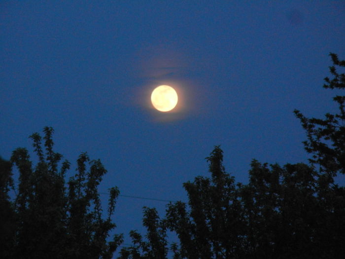 Beautiful Moon (2014, Apr.14, 7.20 PM) - MOON_Luna