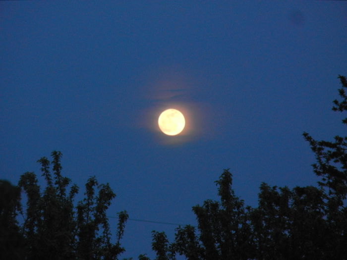 Beautiful Moon (2014, Apr.14, 7.20 PM)