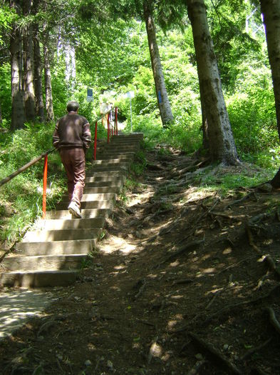 DSC01577 - CETATEA POIENARI