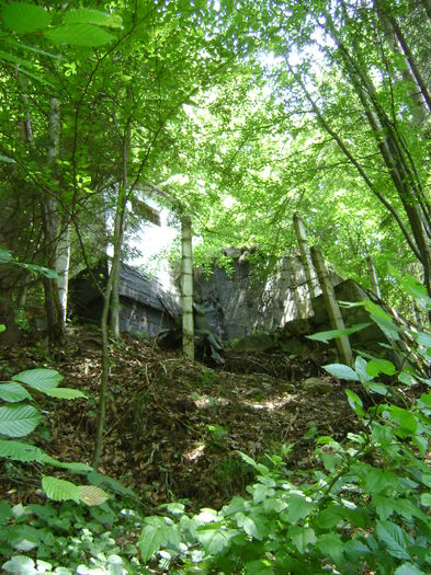 DSC01585 - CETATEA POIENARI