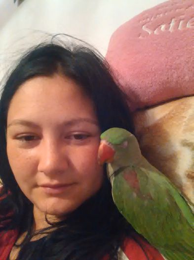 IMG_20140921_235302 - Marele Alexandru