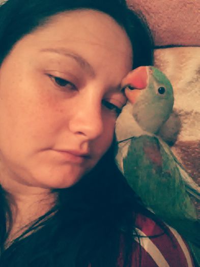 IMG_20140921_235114 - Marele Alexandru