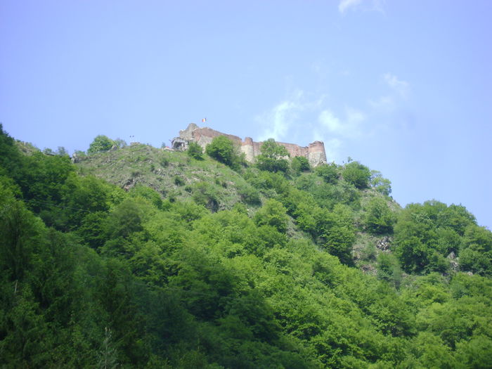 DSC01738 - CETATEA POIENARI