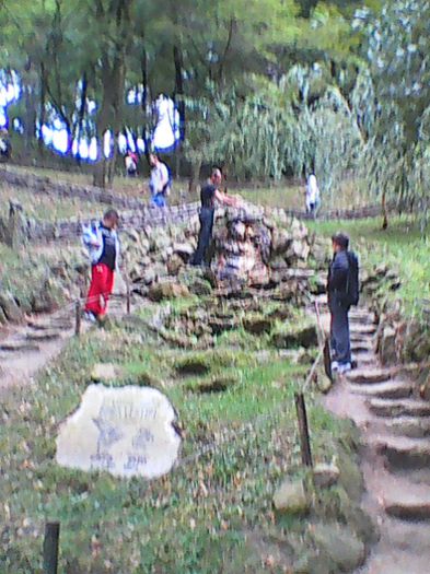 Photo0674