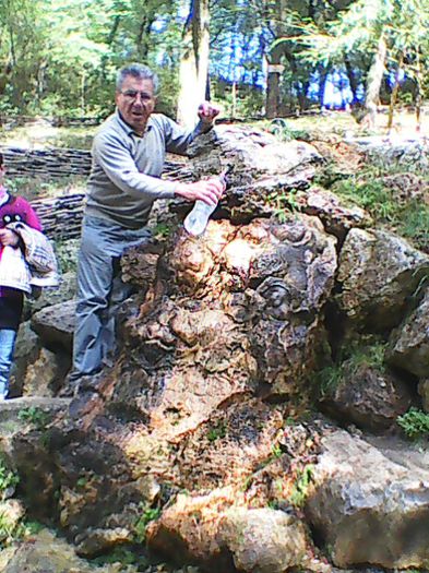 Photo0679