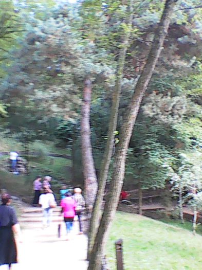 Photo0701