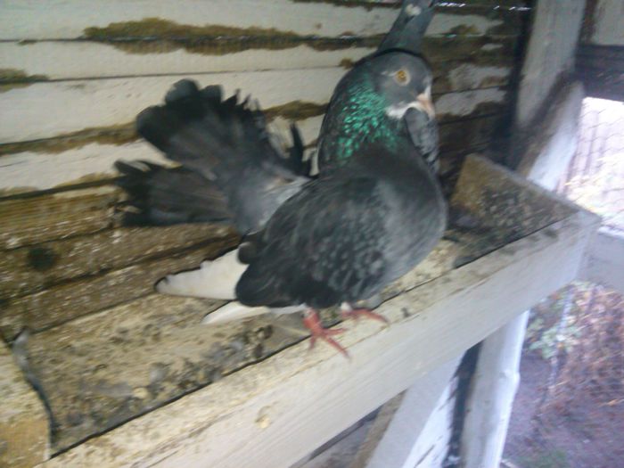 IMG_20140922_182938_322