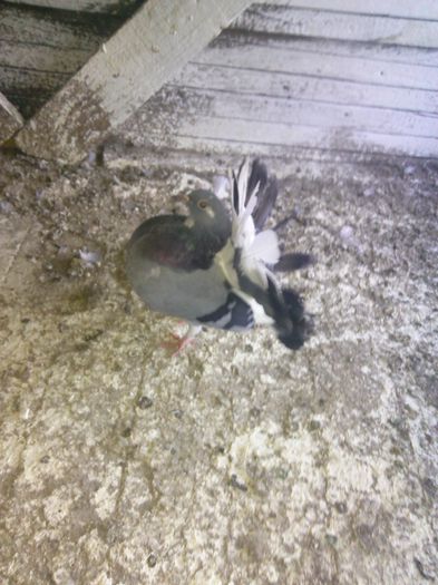 IMG_20140922_182906_974