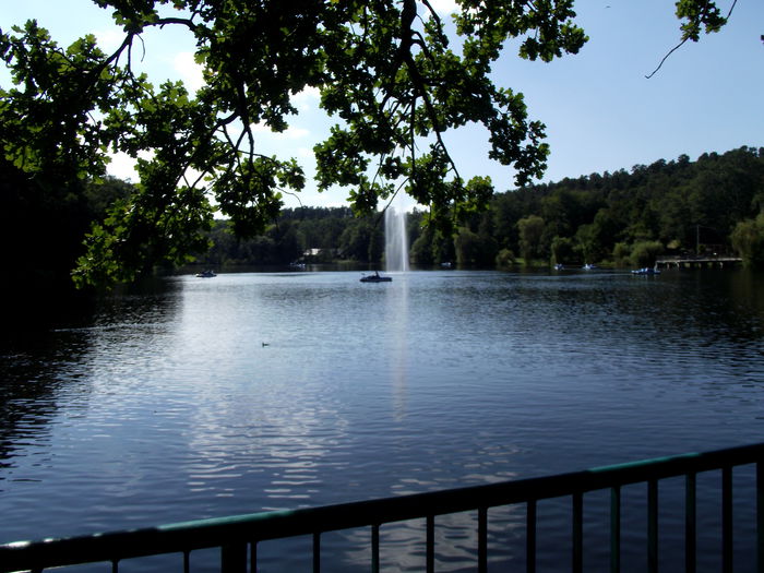 DSCF8761 - A-3---sibiu