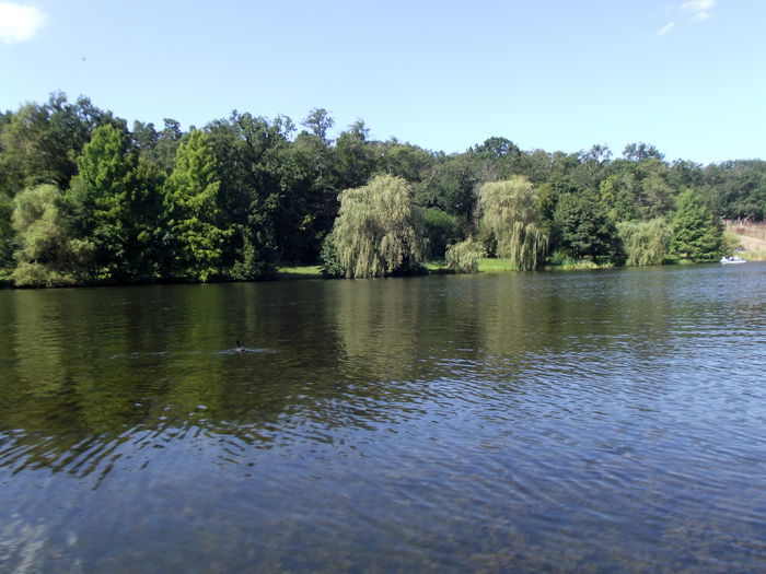 DSCF8770 - A-3---sibiu