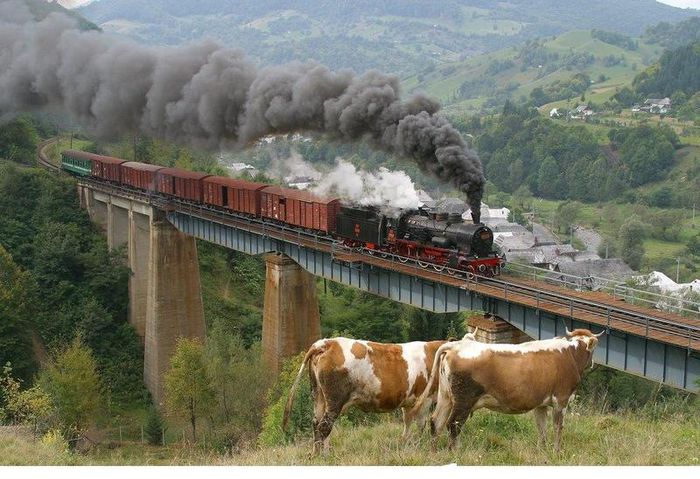 Calea-ferata-Salva-Viseu - A 1 ROMANIA PITOREASCA